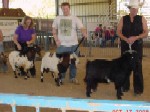 Yearling Buck Class